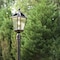 Gama Sonic Royal Bulb Solar Light, GS Solar Light Bulb, 3 in. Fitter, Brushed Bronze 98B112 - alternate 5